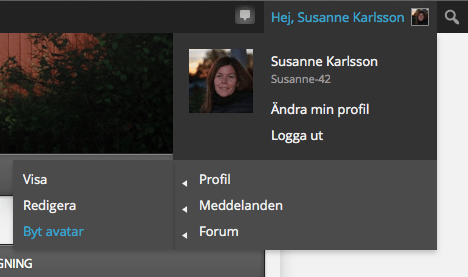Skärmavbild 2014-02-27 kl. 22.35.18