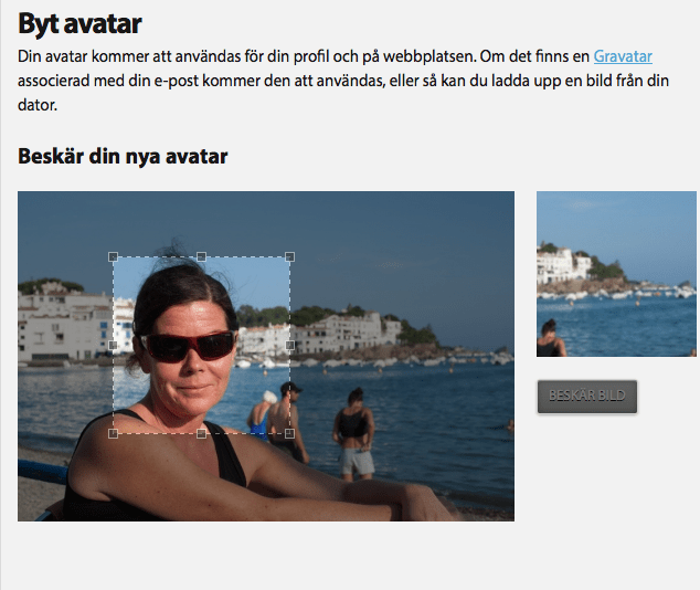 Skärmavbild 2014-02-27 kl. 22.40.49